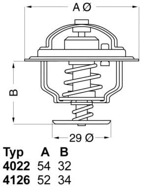 termostatas, aušinimo skystis