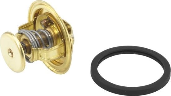 termostatas, aušinimo skystis - image 2