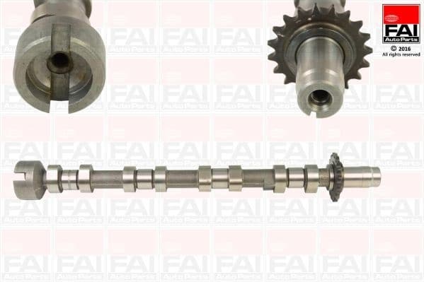 Camshaft C364