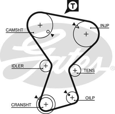Timing Belt PowerGrip™ 5375XS - image 2