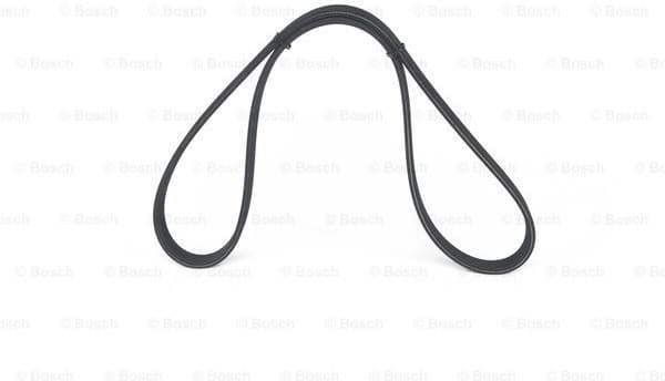 V-ribbed Belt 1987946207