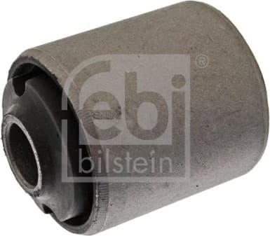 Mounting, control/trailing arm 10304