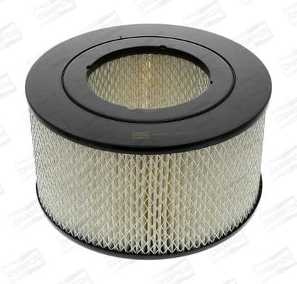 Air Filter CAF100722R