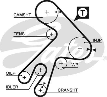 Timing Belt PowerGrip™ 5057XS - image 2