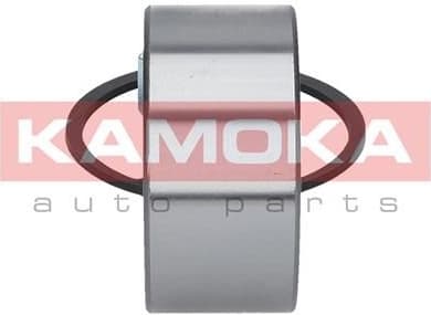 Wheel Bearing Kit 5600032 - image 4