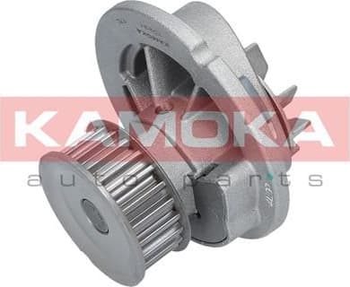 Water Pump, engine cooling T0231