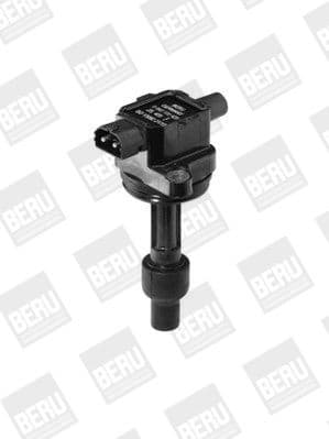 ZS 429 (BorgWarner (BERU)) - image 3