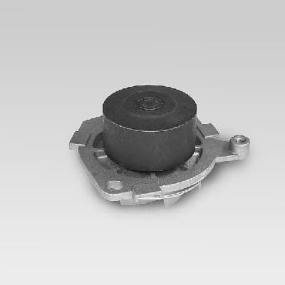 Water Pump, engine cooling P1045