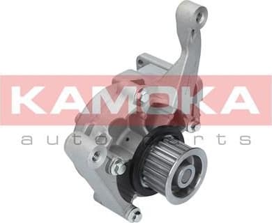 Water Pump, engine cooling T0167