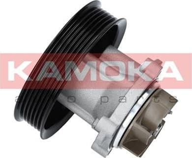 Water Pump, engine cooling T0014