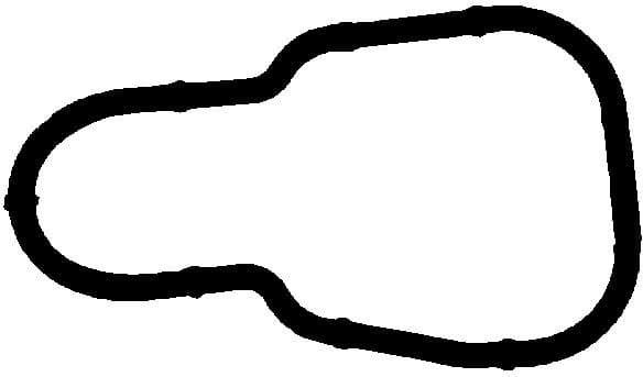 Gasket, intake manifold 050.460