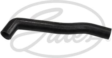 Radiator Hose 3454