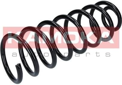 Coil spring 2120142