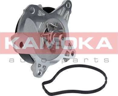 Water Pump, engine cooling T0262