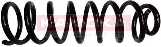 Coil spring 2120130