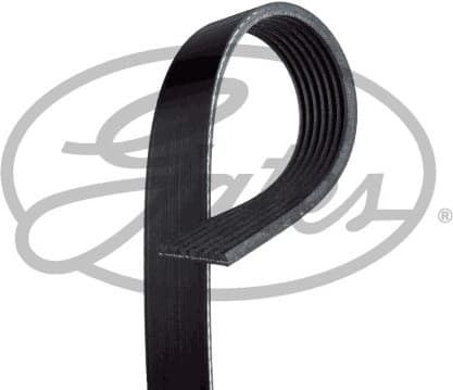 V-ribbed Belt Micro-V® 7PK1135