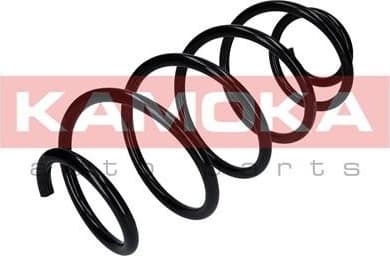 Coil spring 2110324
