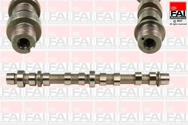 Camshaft C359