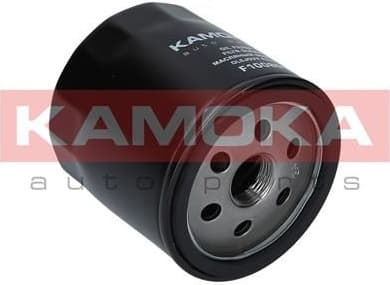 Oil Filter F100801