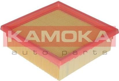 Air Filter F213601