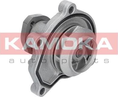 Water Pump, engine cooling T0252