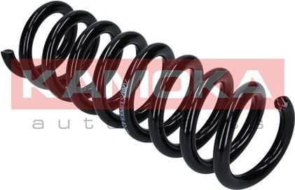 Coil spring 2120175 - image 4