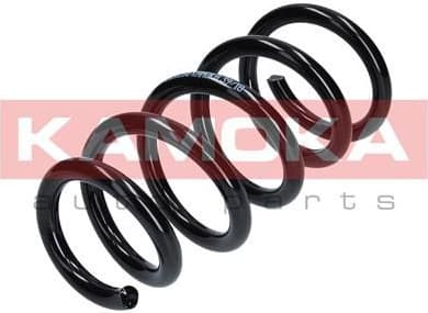 Coil spring 2120288