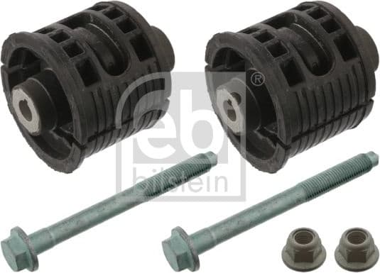 Bush Set, axle beam 43744