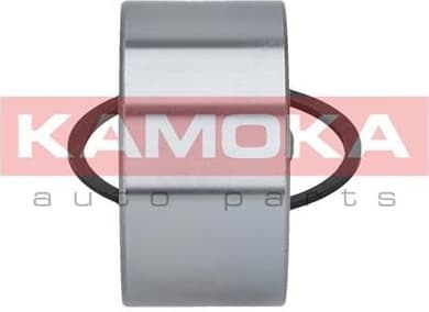 Wheel Bearing Kit 5600059 - image 4