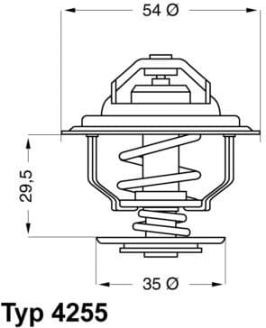 termostatas, aušinimo skystis