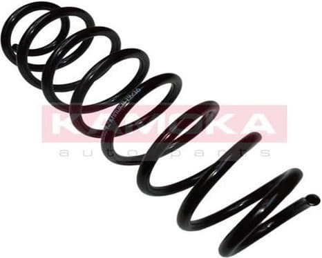 Coil spring 2120242