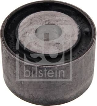 Mounting, differential 10843