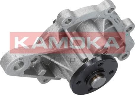 Water Pump, engine cooling T0259