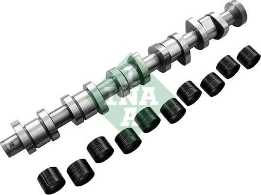 Camshaft Kit 428004030