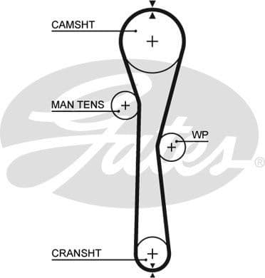 Timing Belt PowerGrip™ 5577XS