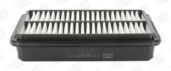 Air Filter CAF100825P