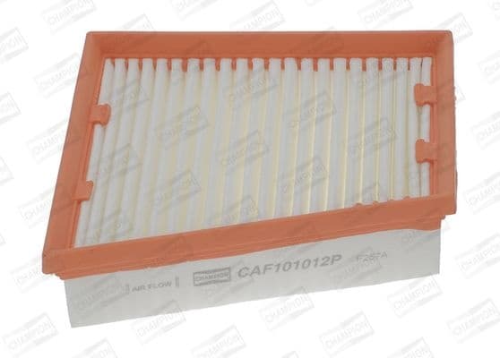 Air Filter CAF101012P