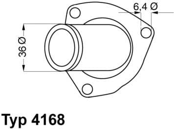 termostatas, aušinimo skystis