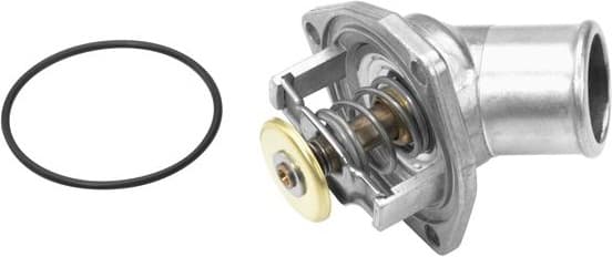 termostatas, aušinimo skystis - image 2