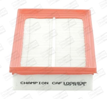 Air Filter CAF100693P