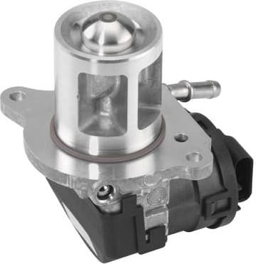 EGR Valve 710095D (BorgWarner (Wahler))