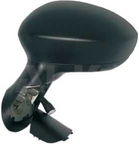 Exterior Mirror 6101547