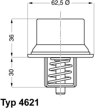  termostatas, aušinimo skystis