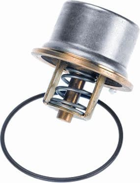 termostatas, aušinimo skystis - image 2