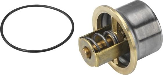 termostatas, aušinimo skystis - image 3