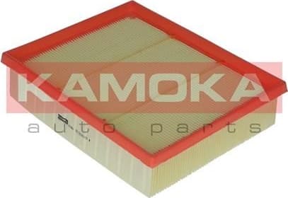 Air Filter F219801 - image 4