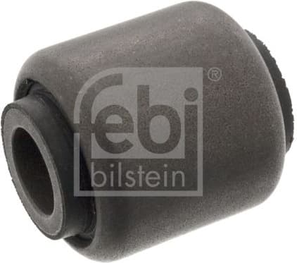 Mounting, control/trailing arm 47334