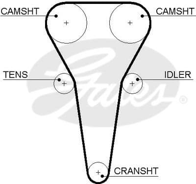 Timing Belt PowerGrip™ 5567XS
