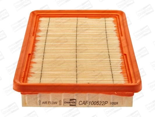 Air Filter CAF100522P