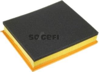 Air Filter A1010